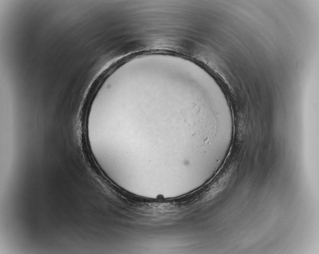 X0000093521024200711021042