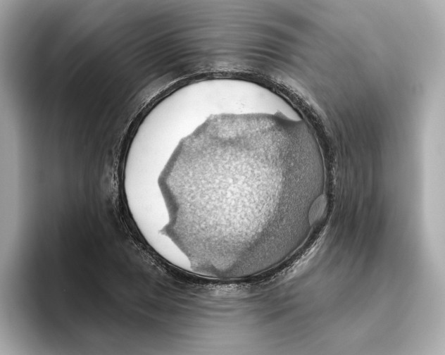 X0000093521025200711021042