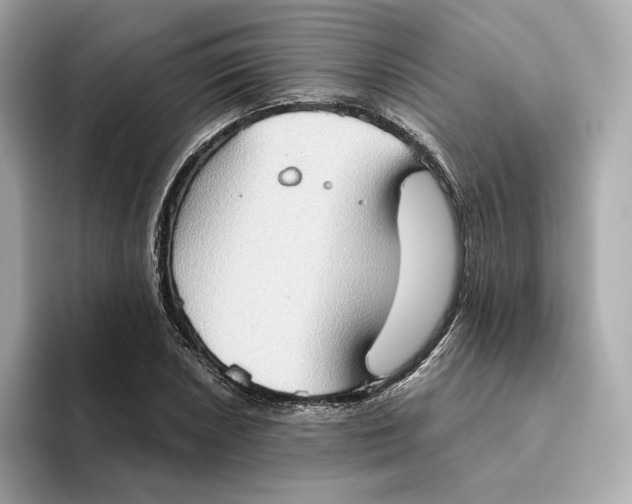 X0000093521026200711021042