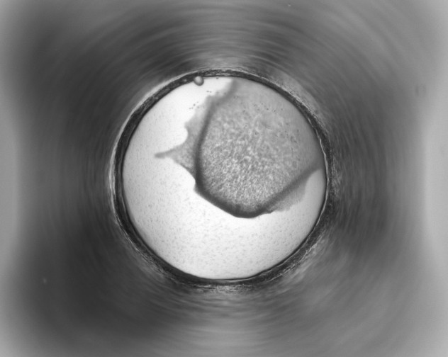 X0000093521028200711021042