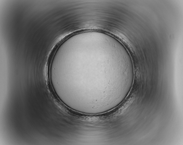 X0000093521030200711021042