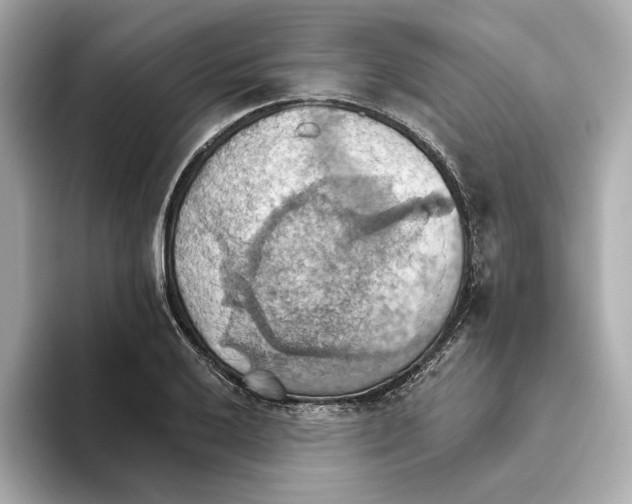 X0000093521032200711021042