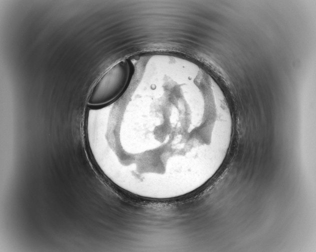 X0000093521033200711021042