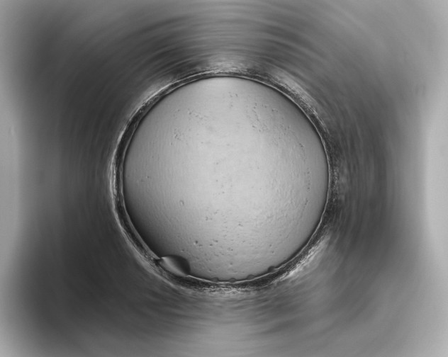 X0000093521034200711021042