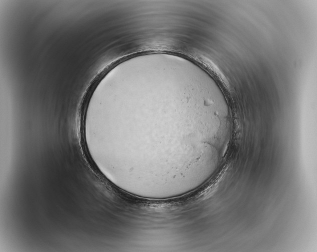 X0000093521035200711021042