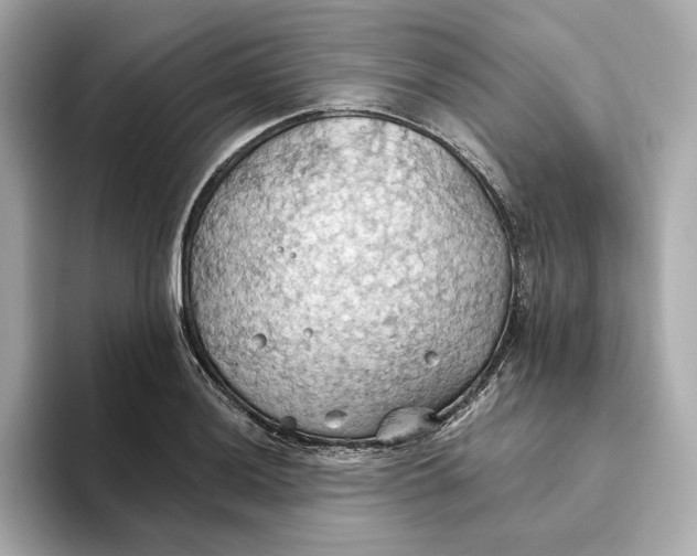 X0000093521036200711021042