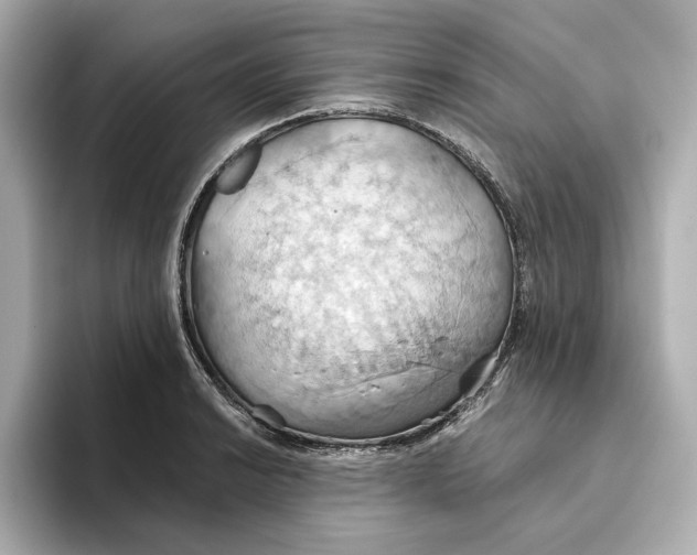 X0000093521038200711021042