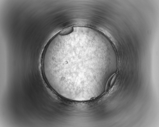 X0000093521042200711021042