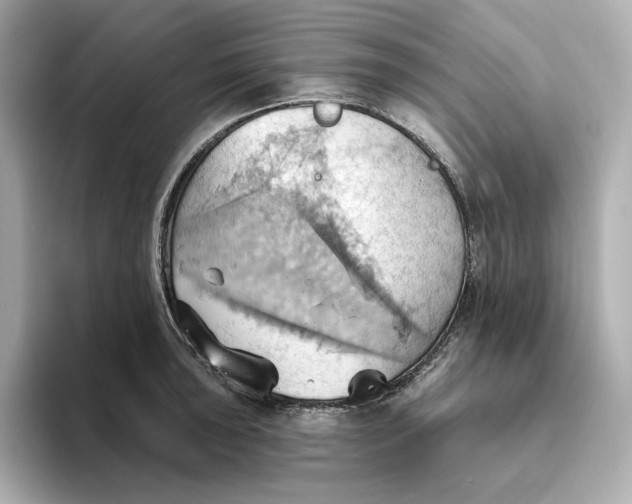 X0000093521043200711021042