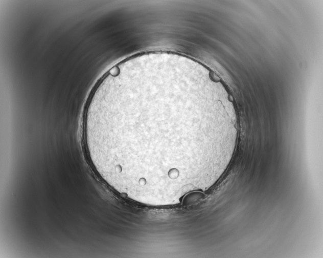 X0000093521044200711021042