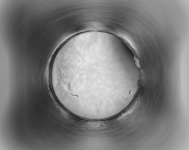 X0000093521046200711021042