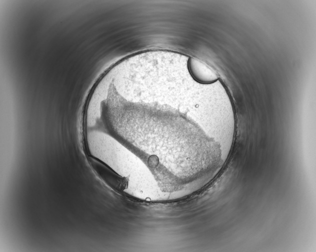 X0000093521048200711021042