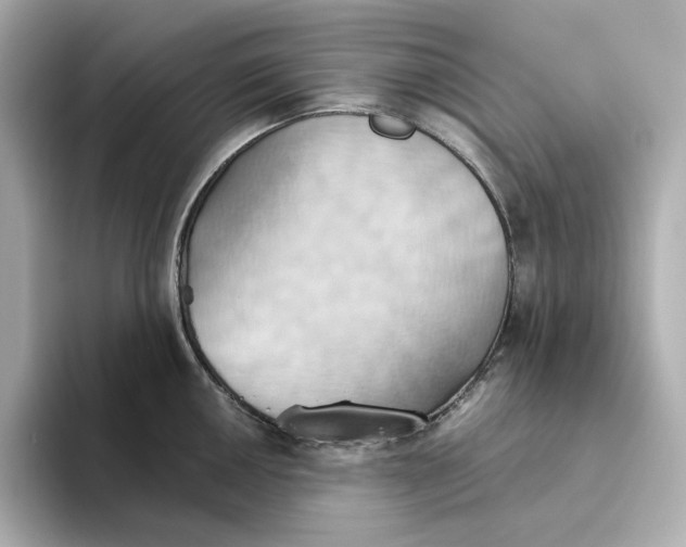 X0000093521050200711021042