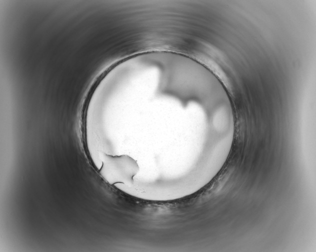 X0000093521051200711021042