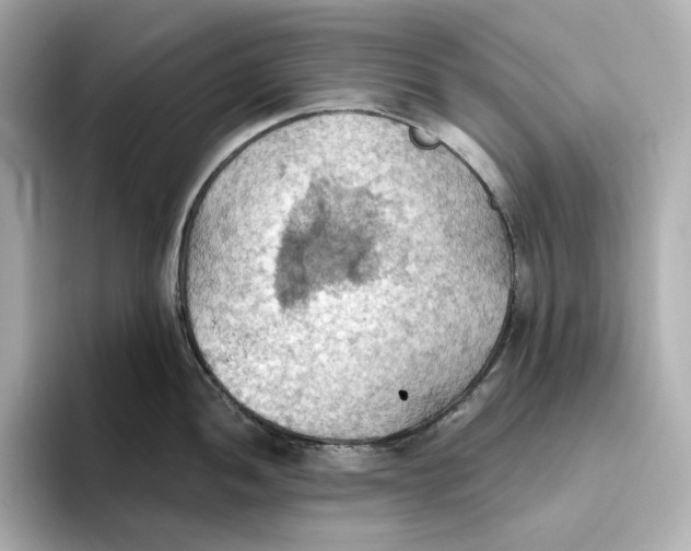 X0000093521052200711021042