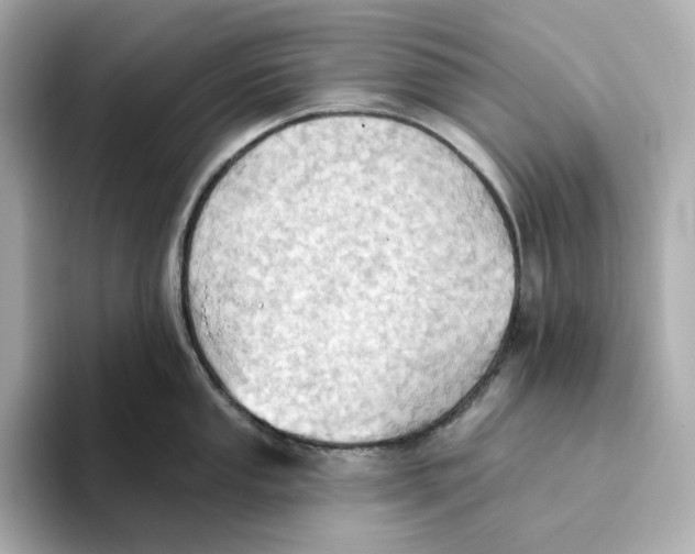 X0000093521053200711021042