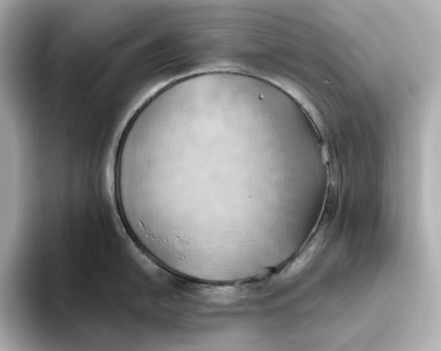 X0000093521054200711021042