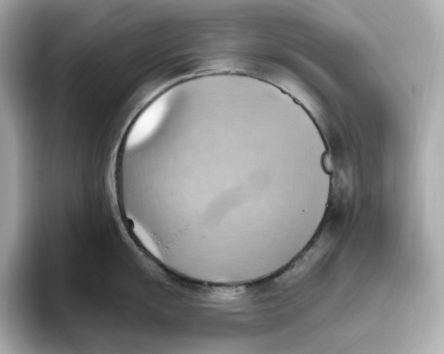 X0000093521055200711021042