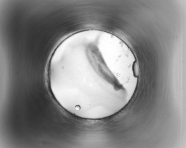 X0000093521056200711021042