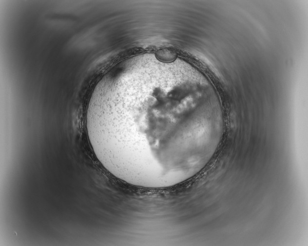 X0000093521063200711021042