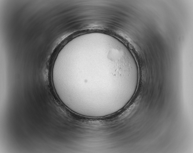 X0000093521066200711021042