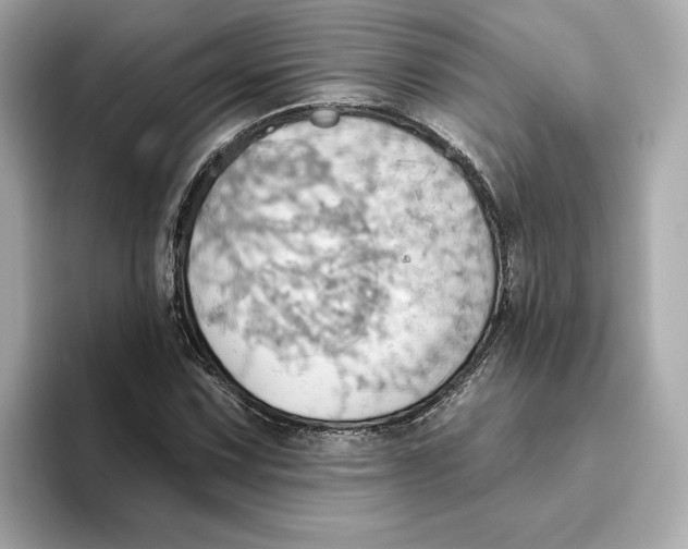 X0000093521067200711021042