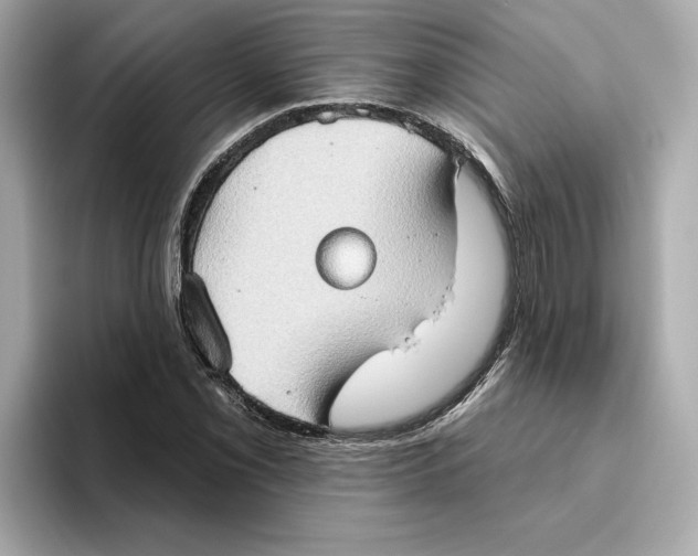 X0000093521069200711021042