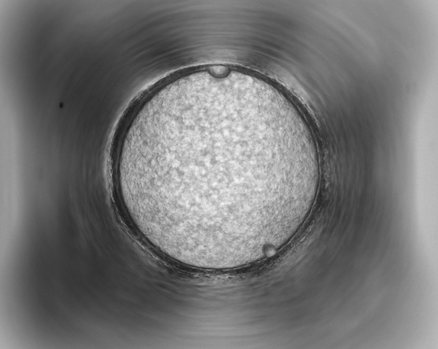 X0000093521072200711021042