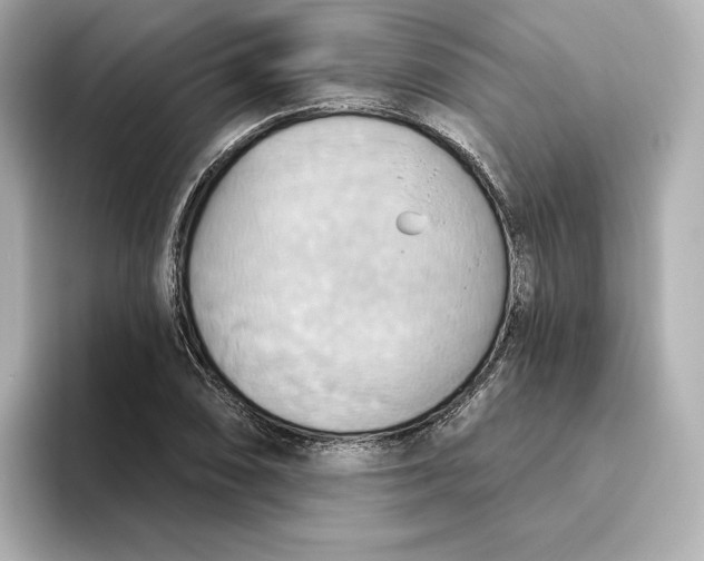 X0000093521074200711021042