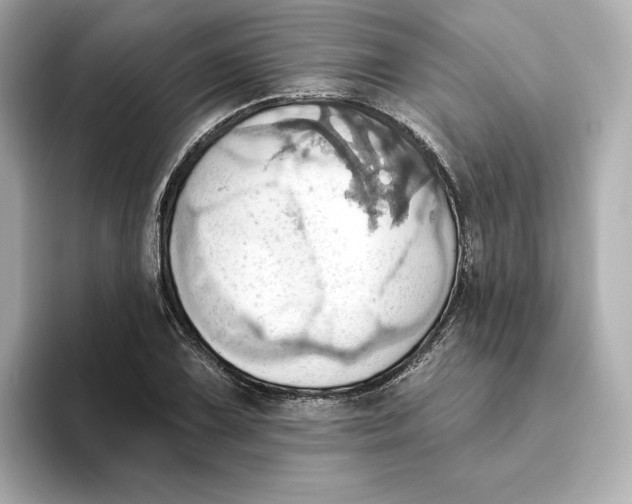 X0000093521075200711021042