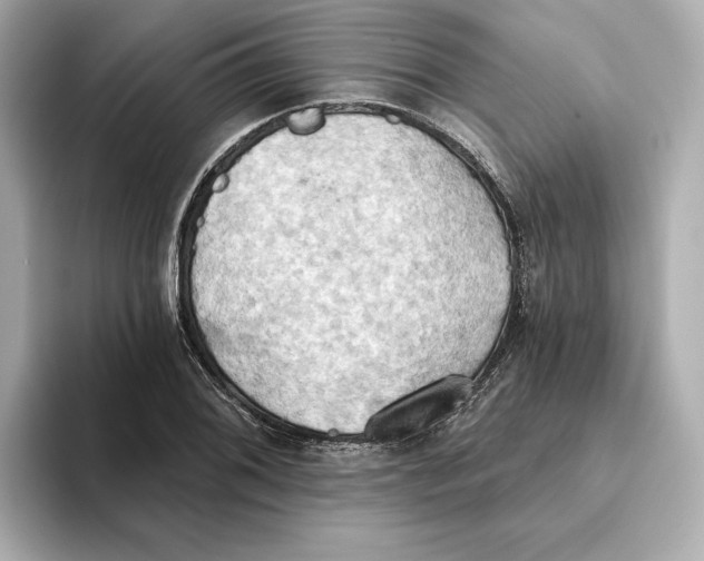 X0000093521076200711021042