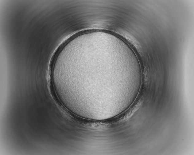 X0000093521077200711021042