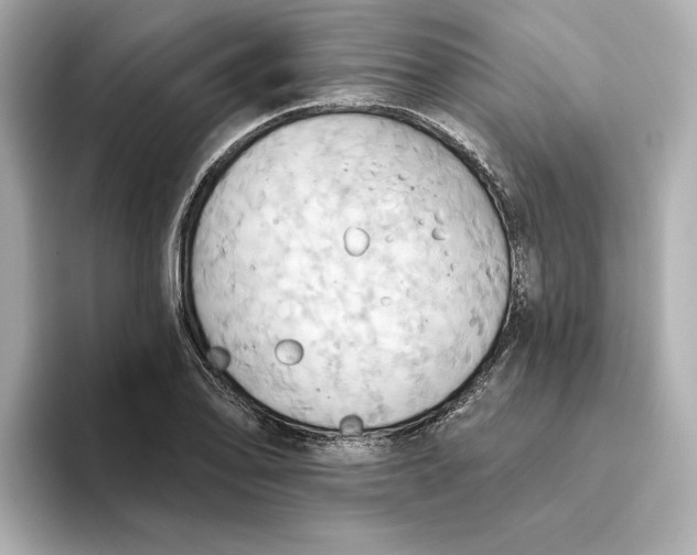 X0000093521078200711021042