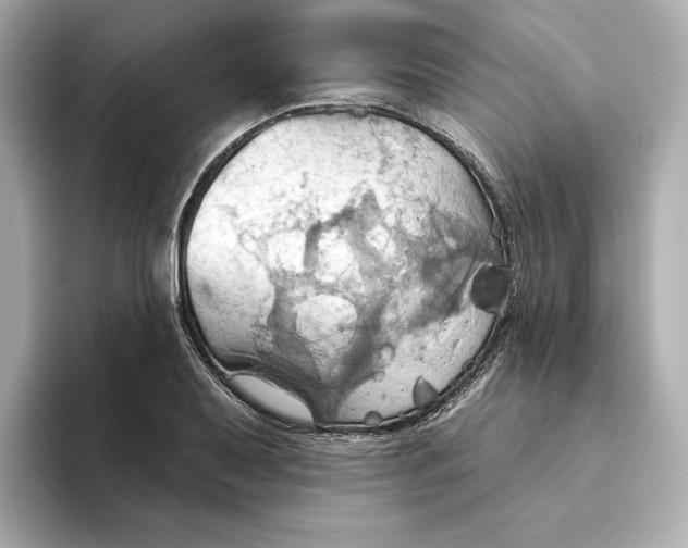 X0000093521079200711021042