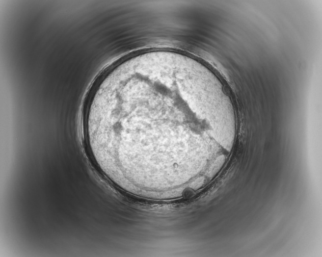 X0000093521080200711021042