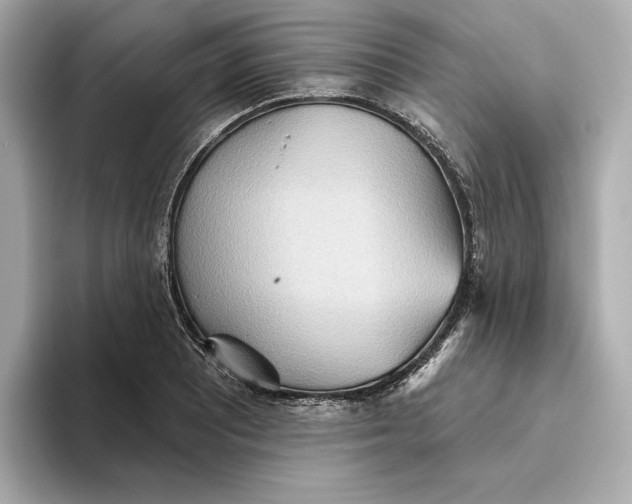 X0000093521081200711021042