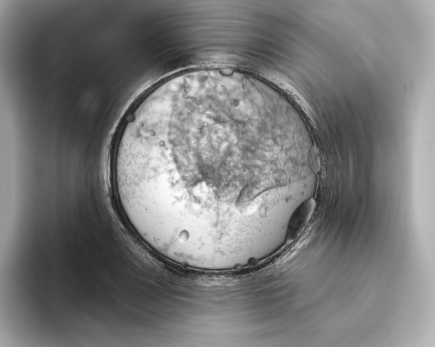 X0000093521083200711021042