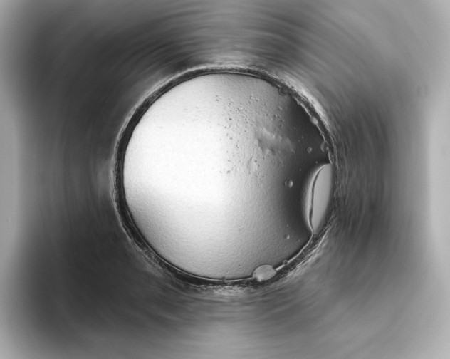 X0000093521085200711021042