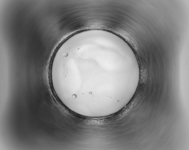 X0000093521086200711021042