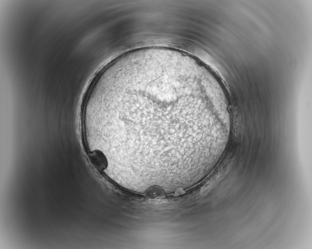 X0000093521088200711021042