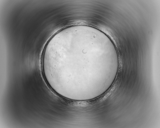 X0000093521090200711021042