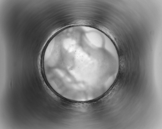 X0000093521091200711021042