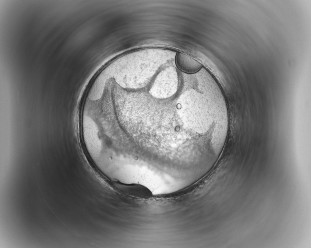 X0000093521092200711021042