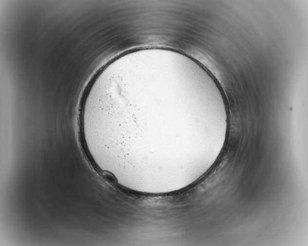 X0000093521093200711021042