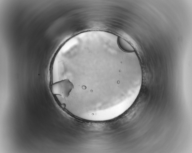 X0000093521095200711021041