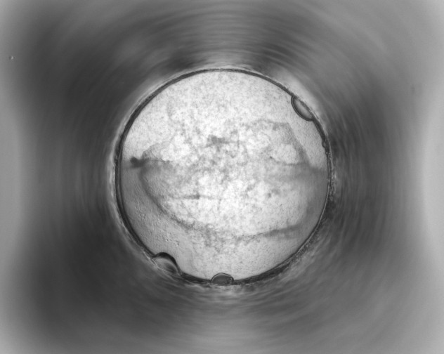 X0000093521096200711021041