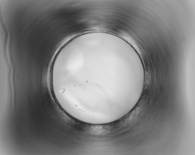 X0000093521098200711021041