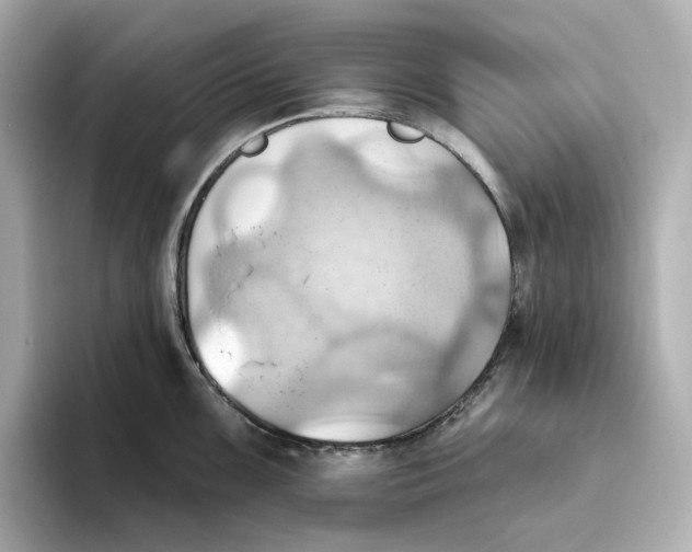 X0000093521099200711021041