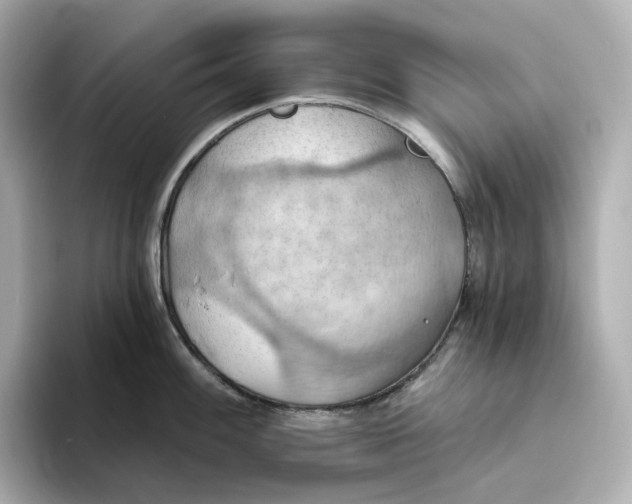 X0000093521100200711021041