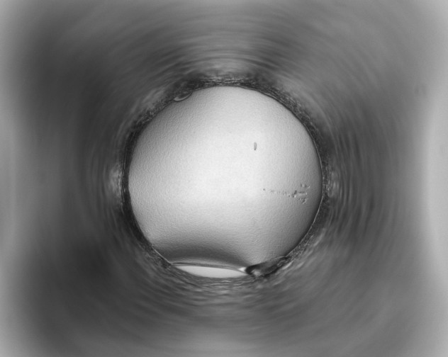 X0000093521108200711021041